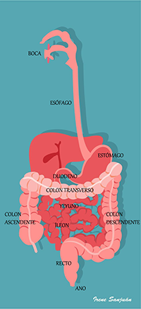 Crohn-con-indicaciones