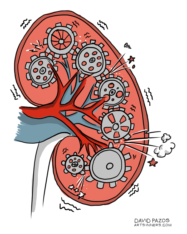 educainflamatoria enfermedad inflamatoria intestinal crohn y